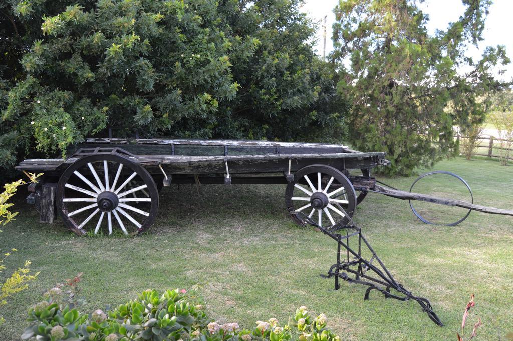 Morley House Hotel Bathurst Екстериор снимка